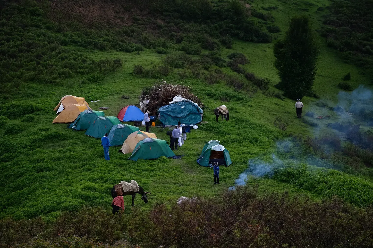کمپینگ جنگلی درفک
