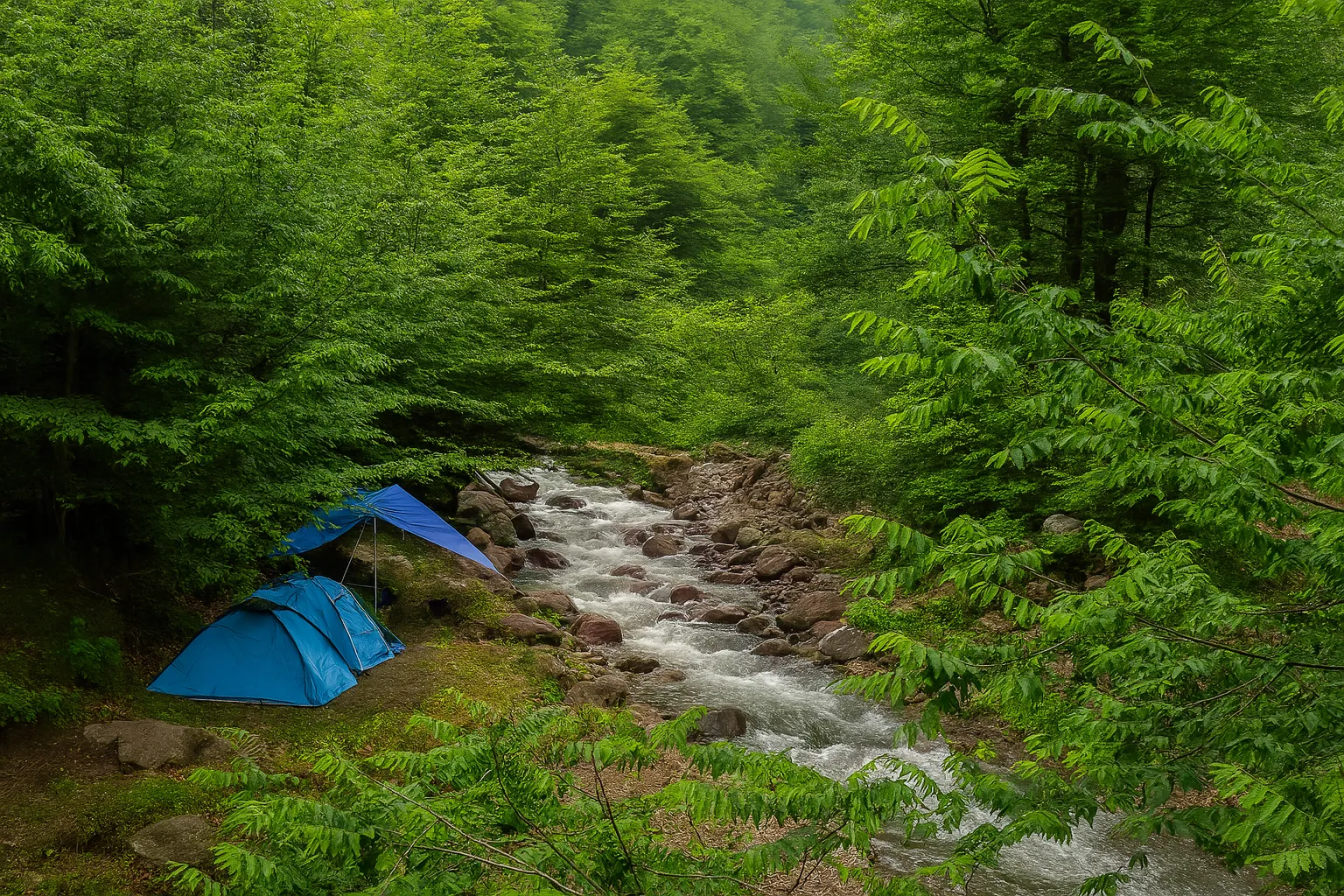 کمپینگ در گیلان