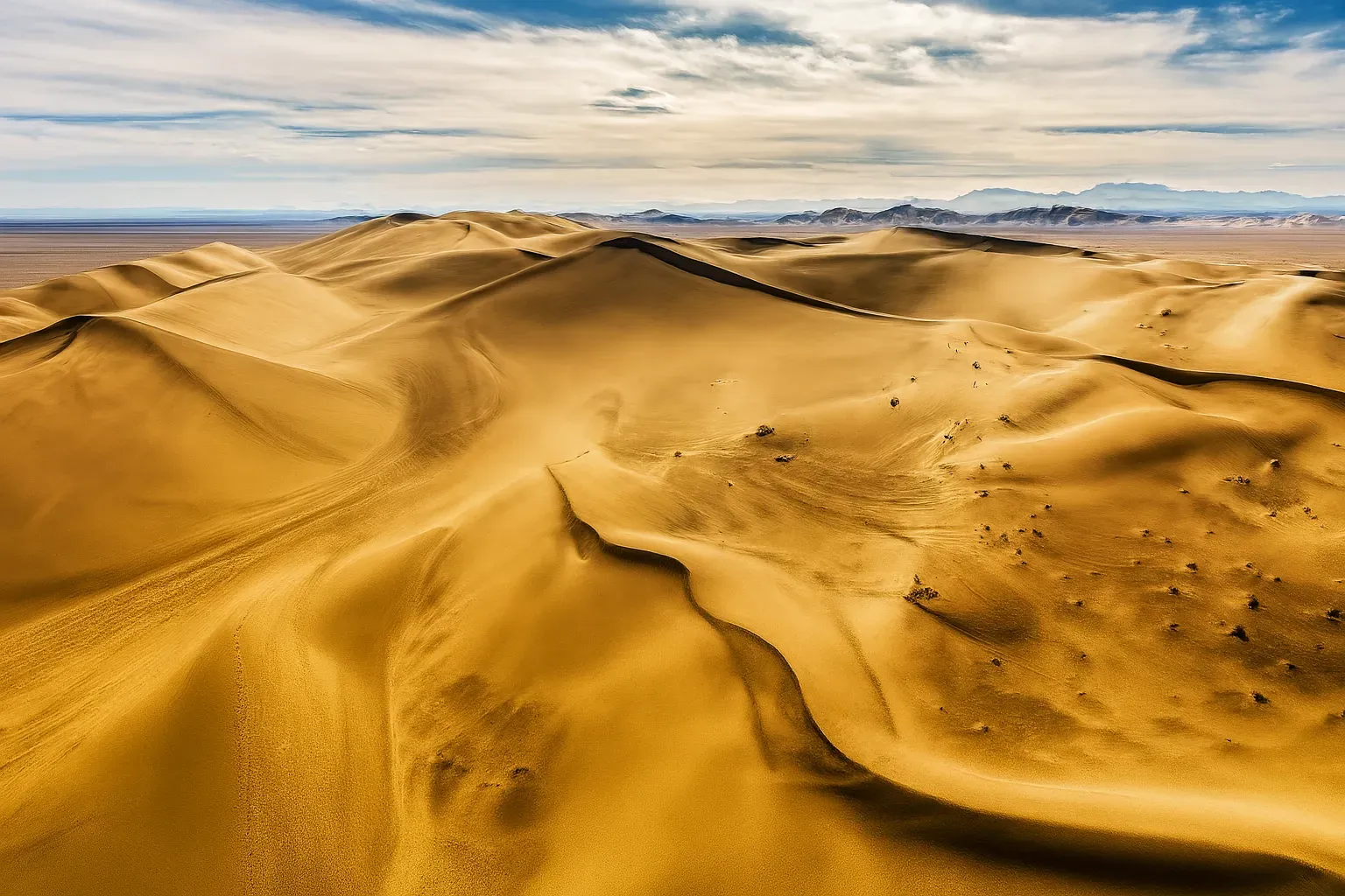 سافاری در کلوت شهداد