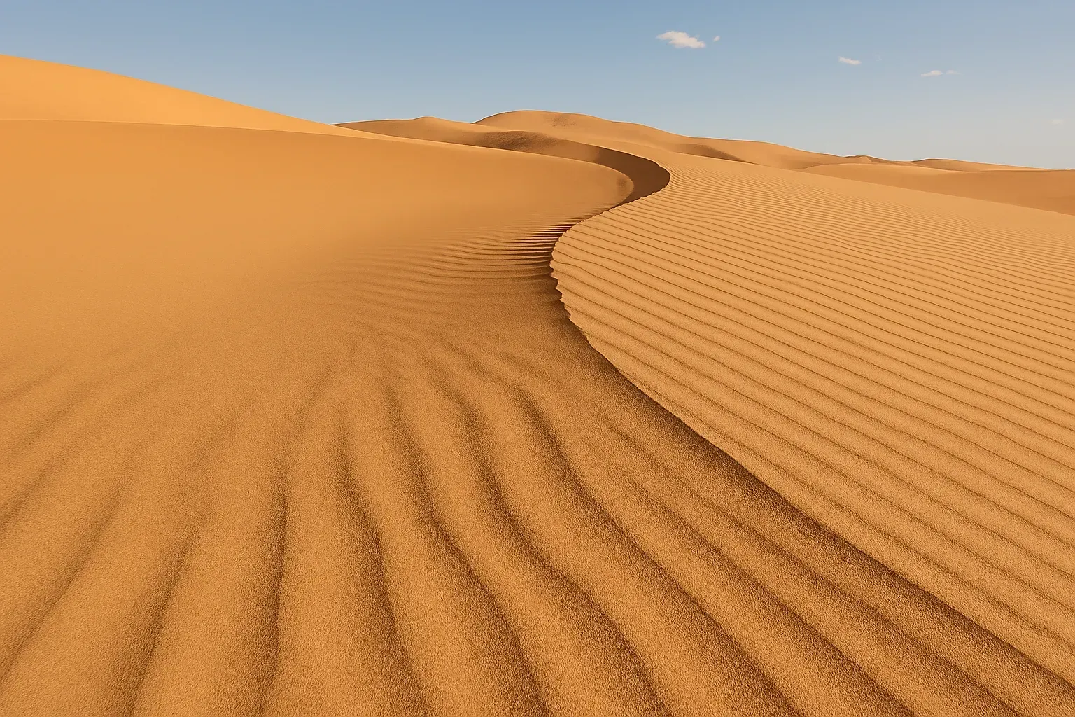 گشت شهر و کویر یزد