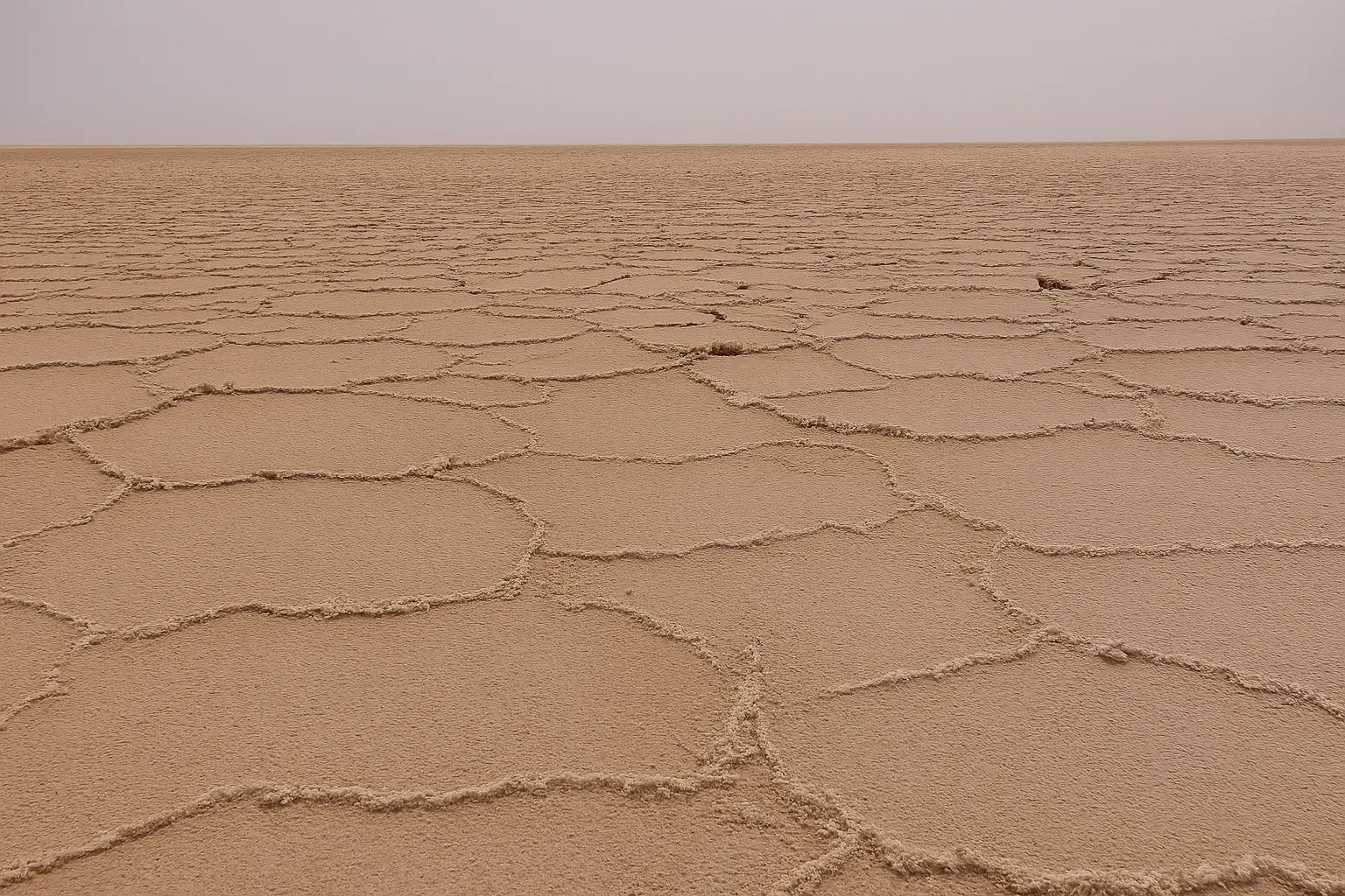 کویرگردی مصر تا گرمه