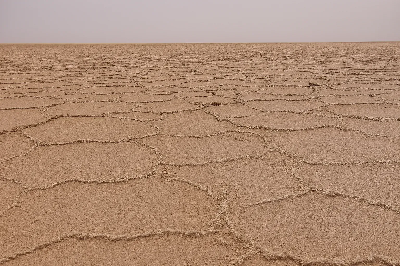 کویرگردی مصر تا گرمه