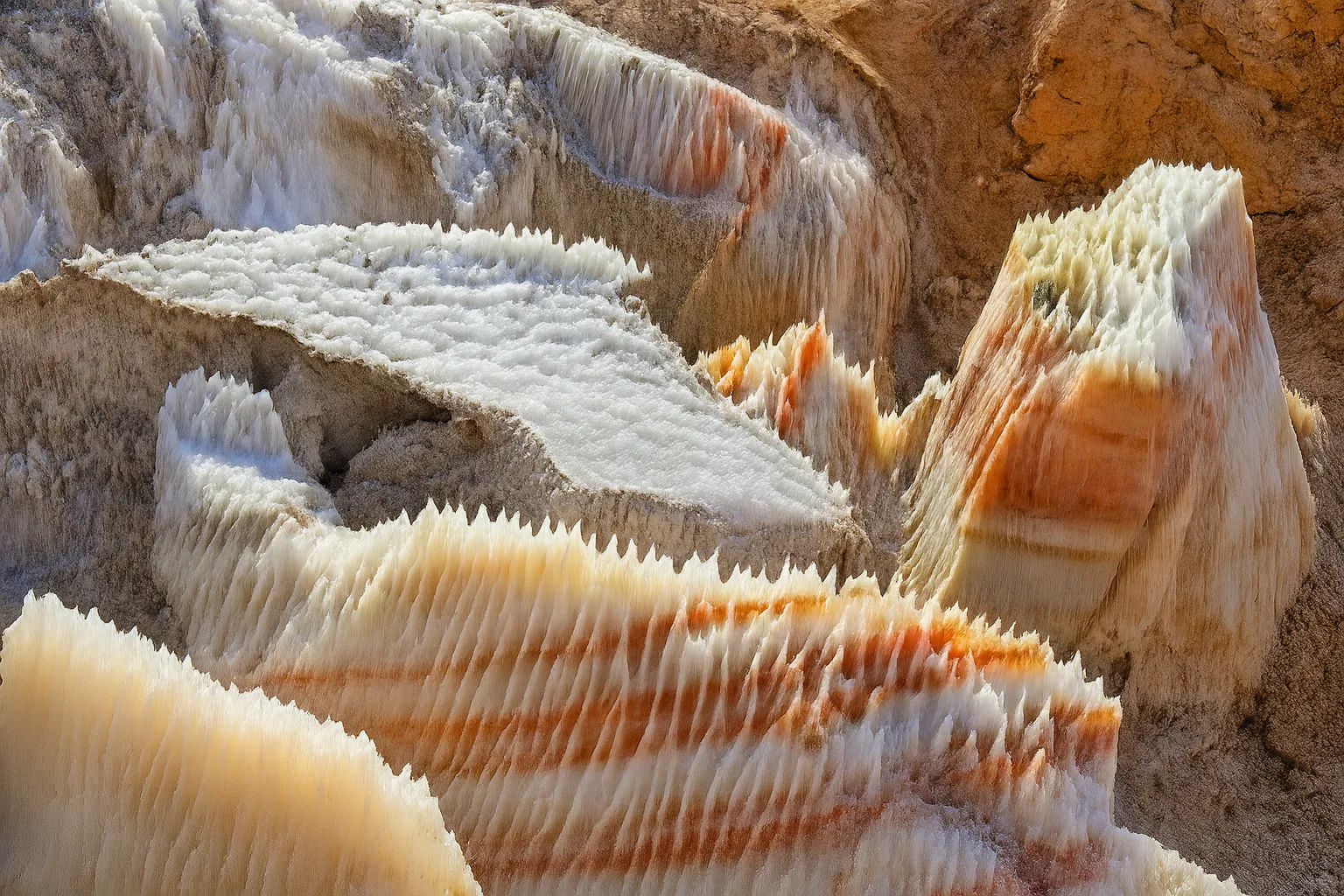 گلگشت گرمسار