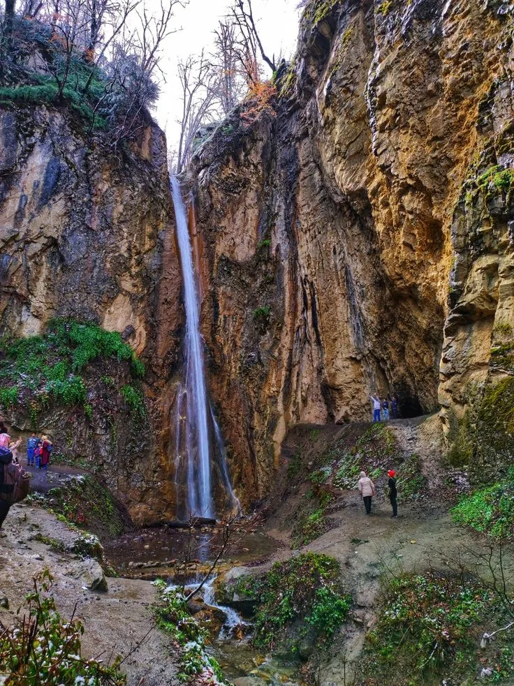 کشف قارچ در النگدره
