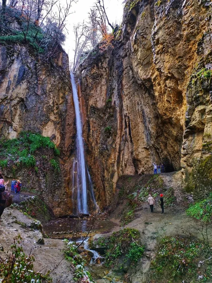 کشف قارچ در النگدره