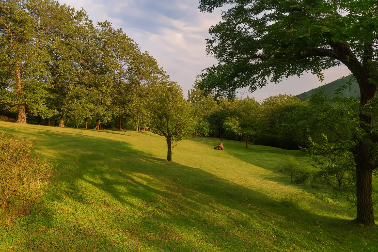 پیمایش گلسرک