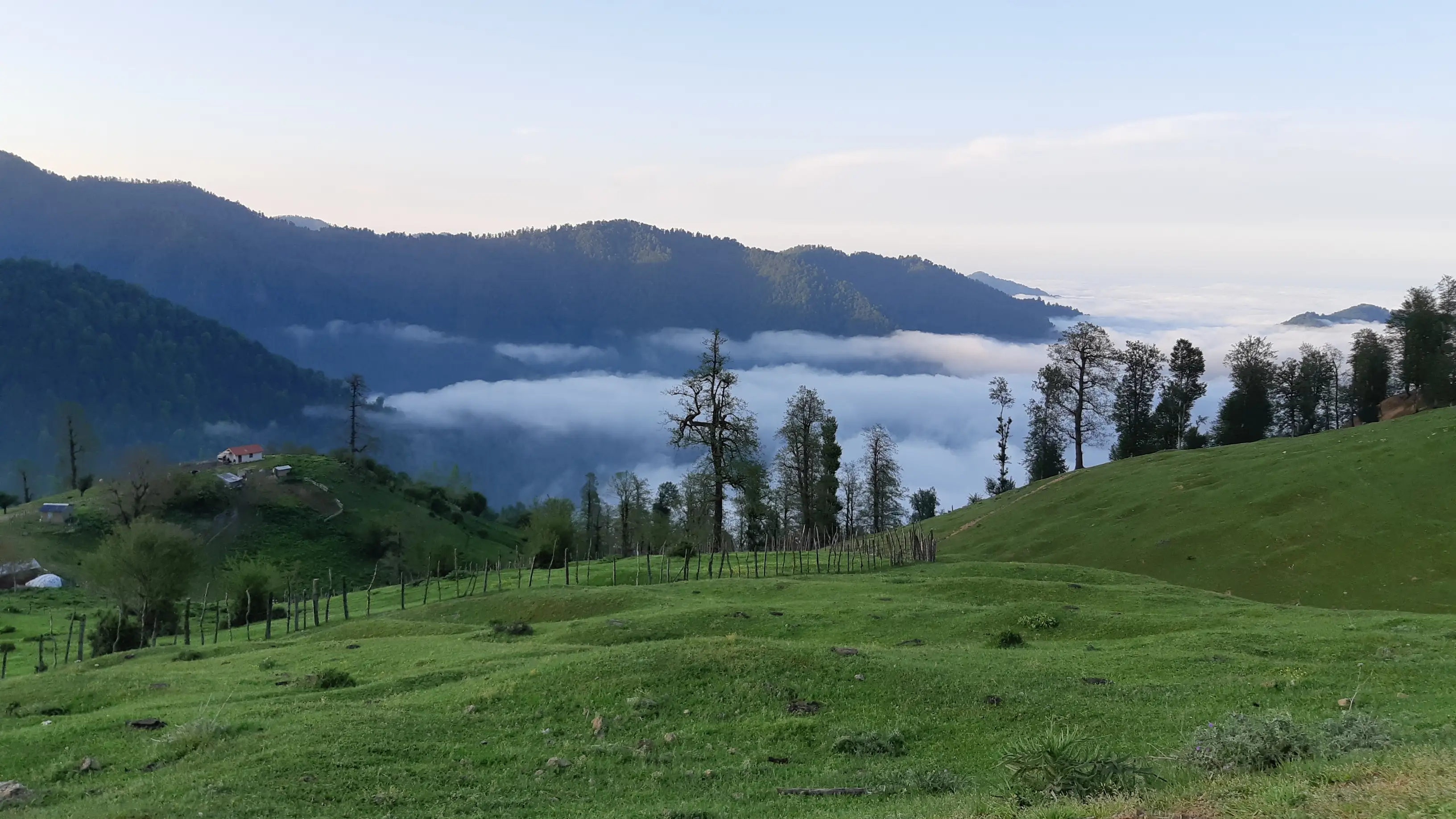 عکس کاربر