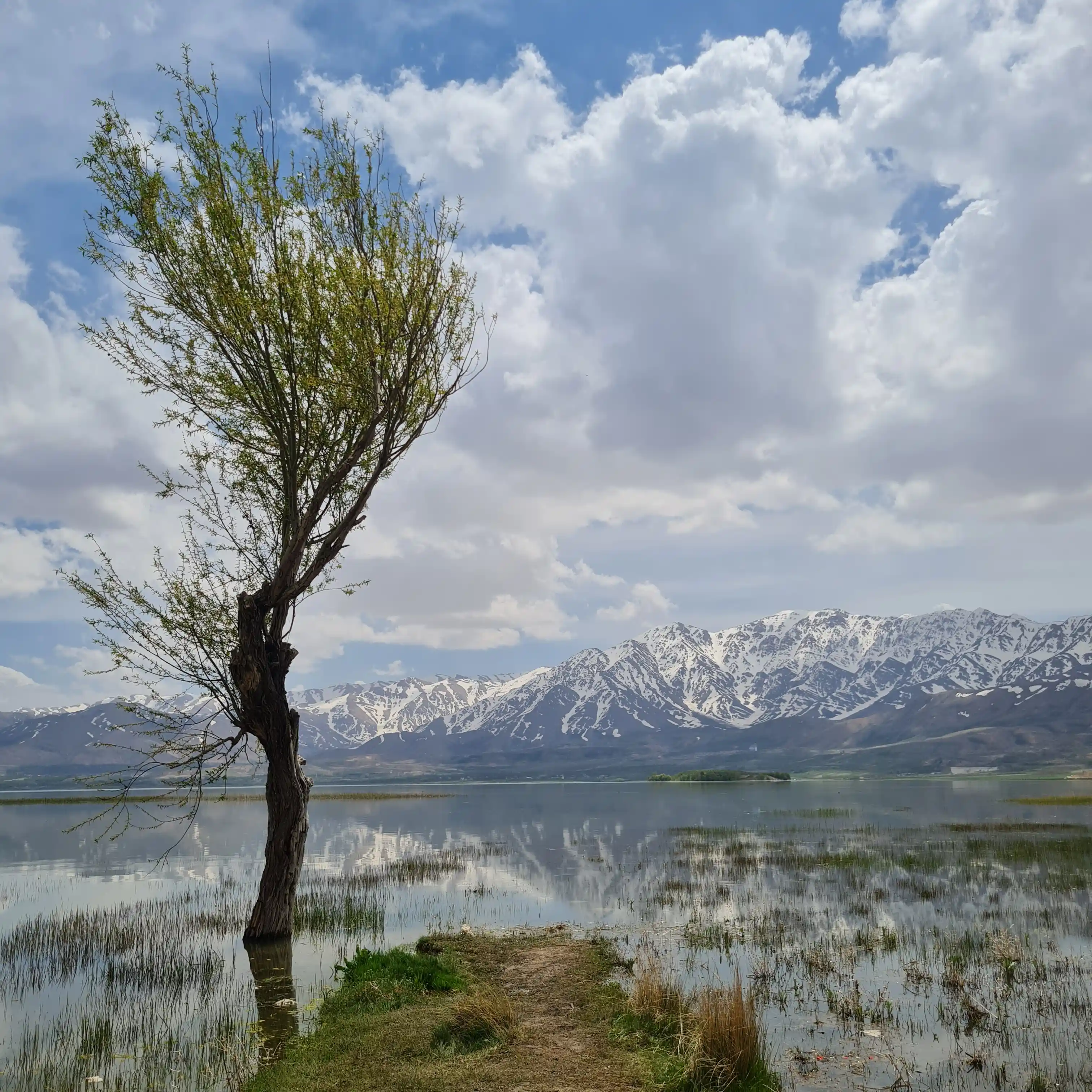 آبشار شوشور